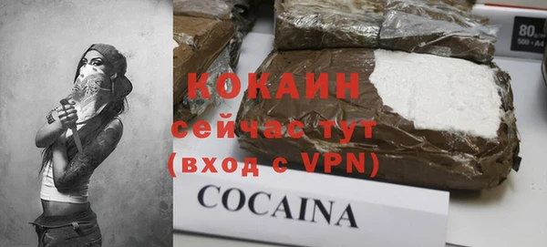 крисы Абаза