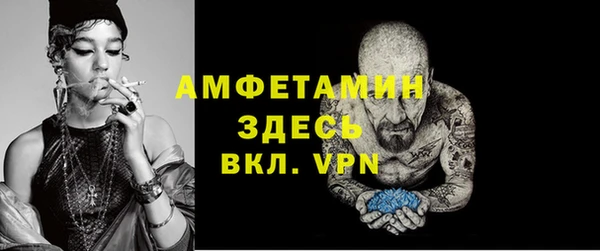 крисы Абаза
