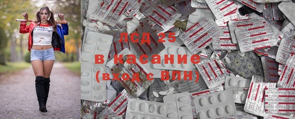крисы Абаза