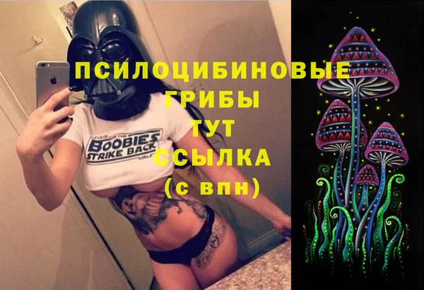 крисы Абаза