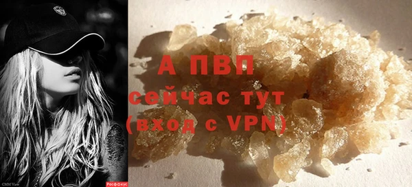 крисы Абаза