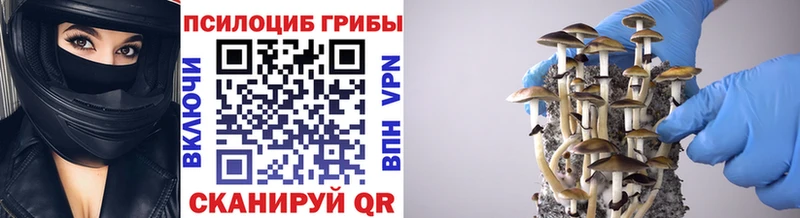 Псилоцибиновые грибы MAGIC MUSHROOMS Александровск